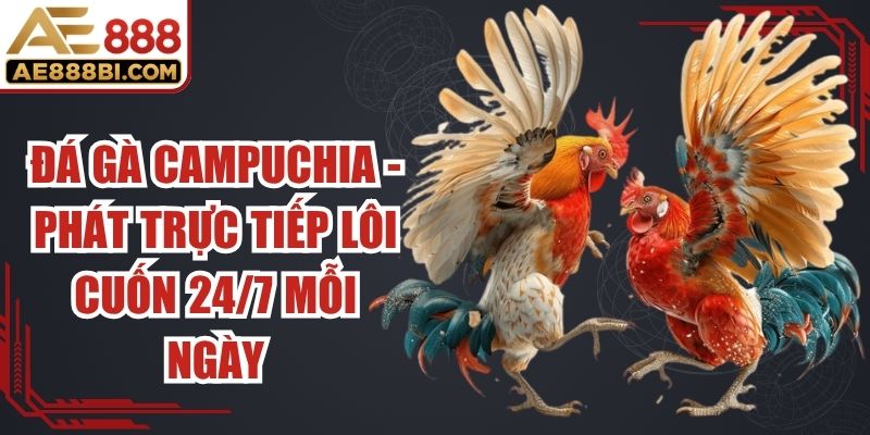 Đá Gà Campuchia