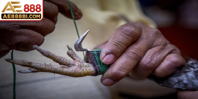 Tất cả các cuộc chạm trán đặc sắc mang lại trải nghiệm kịch tính