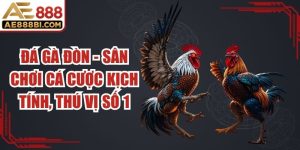 Đá Gà Đòn