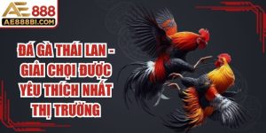 Đá Gà Thái Lan
