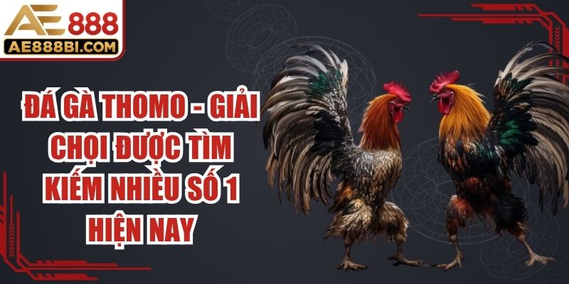 Đá Gà Thomo