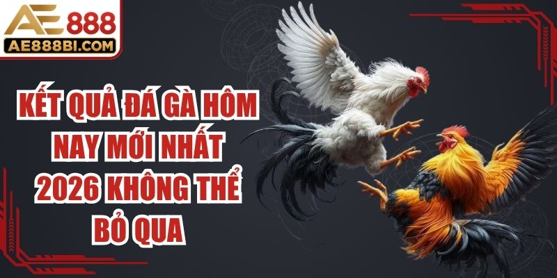 Kết Quả Đá Gà Hôm Nay