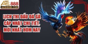 Lịch Thi Đấu Đá Gà